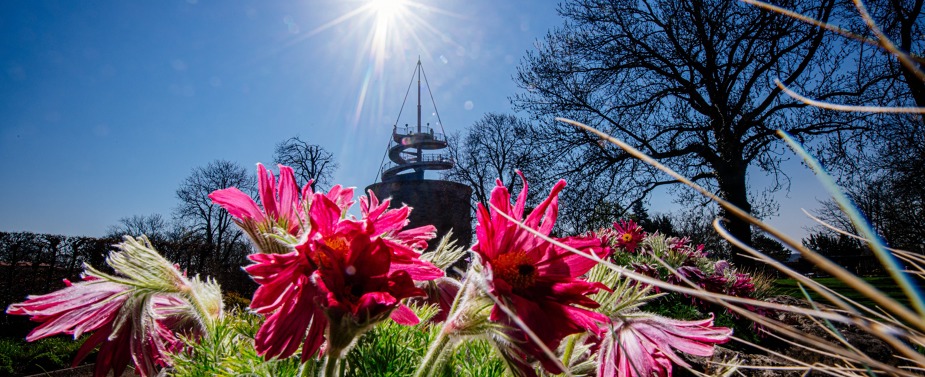 News Kreisverband Potsdam der Garten und Siedlerfreunde e.V.