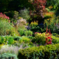Ehrenamtlicher Pflegeeinsatz im Karl-Foerster-Garten