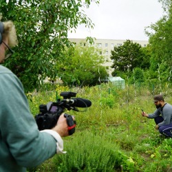 Kreisverband Potsdam der Garten und Siedlerfreunde e.V.
