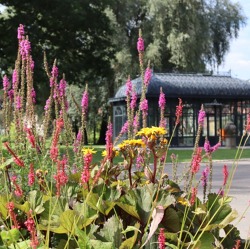 Kreisverband Potsdam der Garten und Siedlerfreunde e.V.