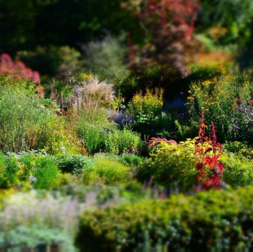 Das Garten-Jahr im Foerster-Garten heute