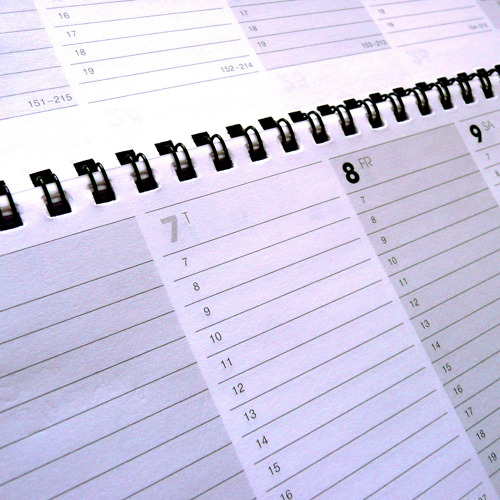 Lichterglanz im Tannenwald