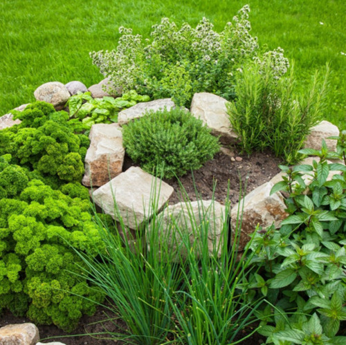 Gartenseminar: Kr&auml;uterspirale, Hochbeet und Trockenmauer