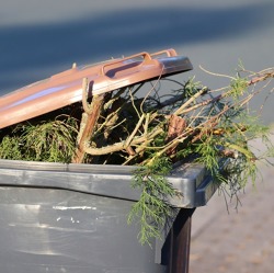 Wichtige Information zum Verbrennen von Gartenabfall