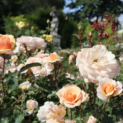 Eine Million Blumenzwiebeln für die LAGA
