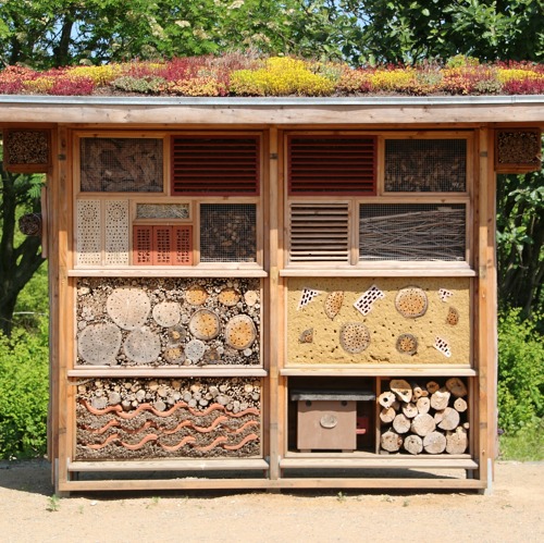 Pflanzenbörse und Insektenhotels bauen im Volkspark Potsdam