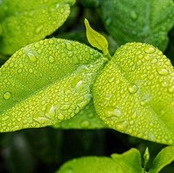Welttag des Naturschutzes