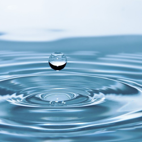 Wasser-Wunder-Welten