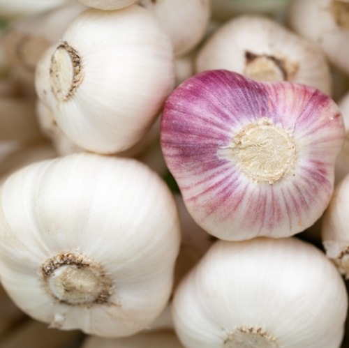 Ein Tag für Knoblauch-Fans