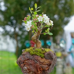 LebensArt im Schloss