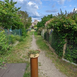 Stadt kämpft für Kleingärten in Babelsberg