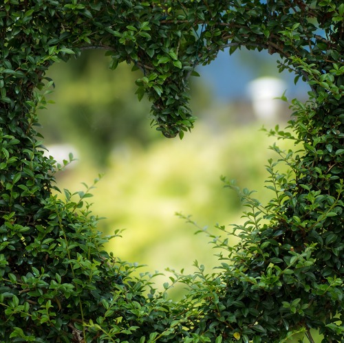 Pflegeseminare im Karl Foerster-Garten