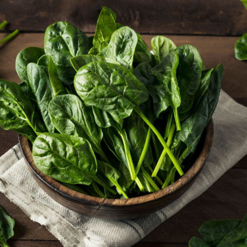 Ernte und Nachpflanzung im Sp&auml;tsommerbeet
