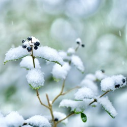 Warm einmummeln