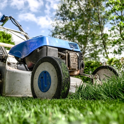 Gartenfreuden im Sommer