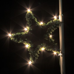 Grüner Weihnachtsstern selbst gemacht